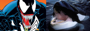 Venom juxtaposed with an Orca. They each possess black skin with a white underbelly, lidless white eyespots, a gaping mouth with rows of pointy teeth, and a large prominent tongue.