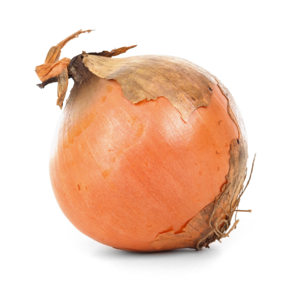 A photo of a delicious onion.