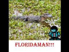 interview with floridaman thumbnail